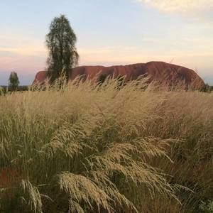 Meet your Posher, Jenny